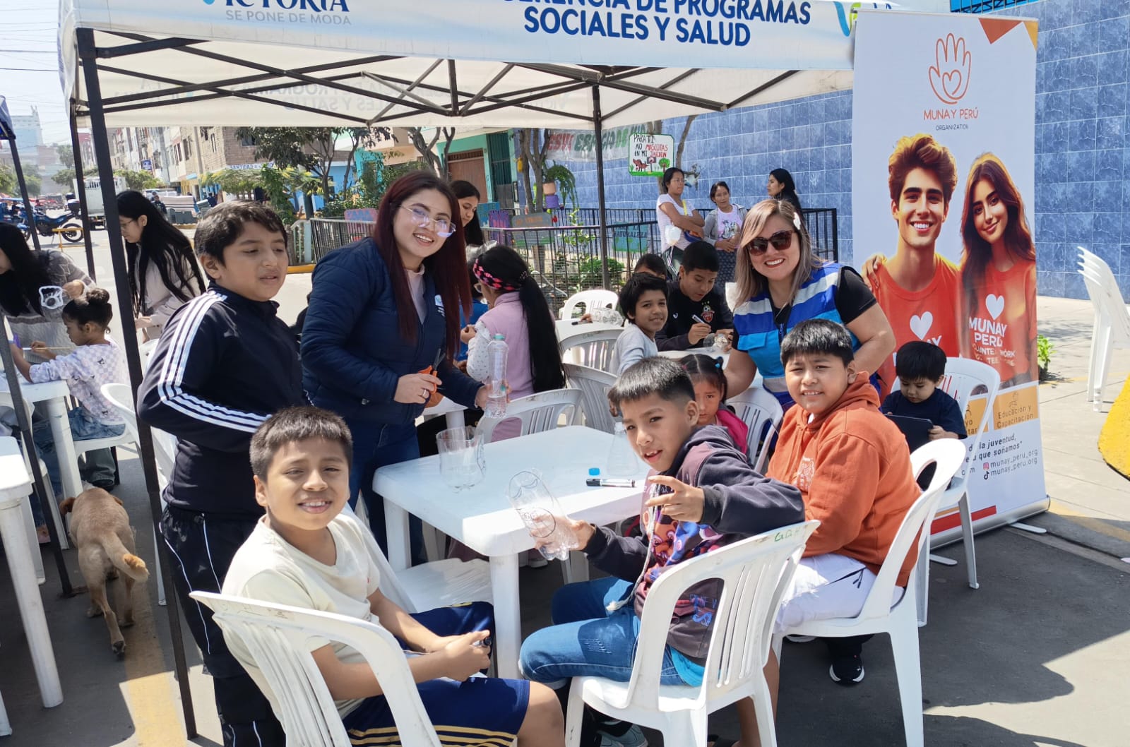 Voluntariado 2
