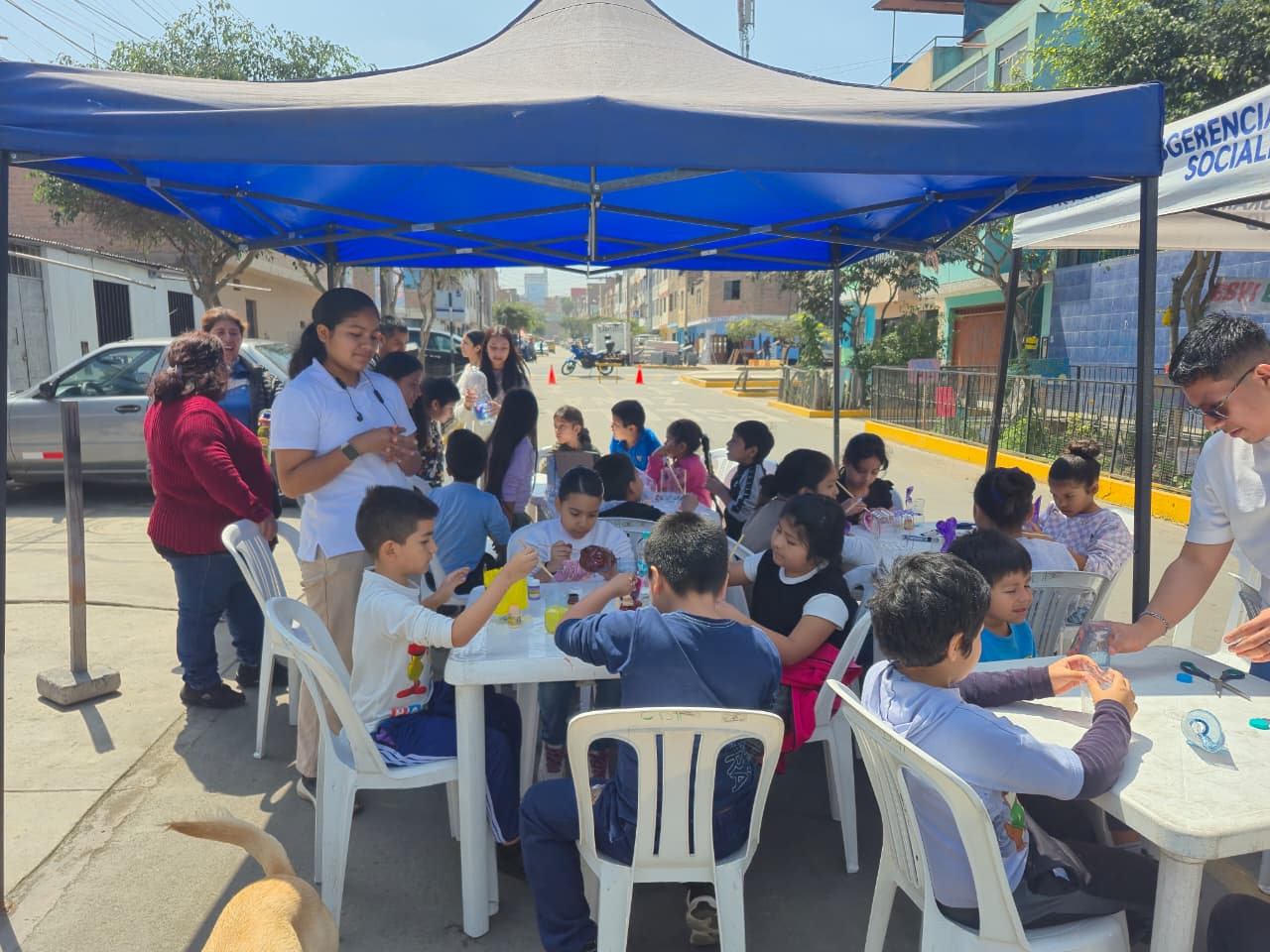 Voluntariado 4