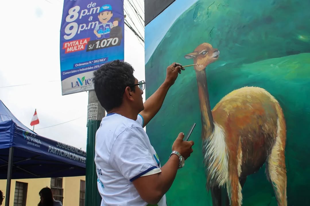 voluntariado 11