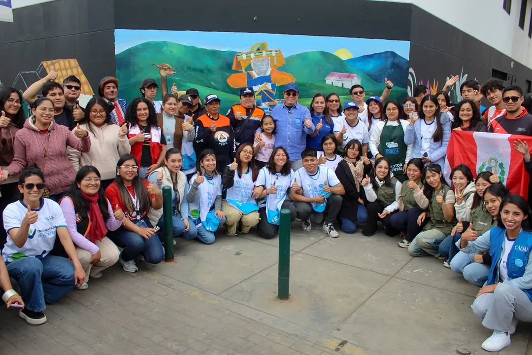 voluntariado 15