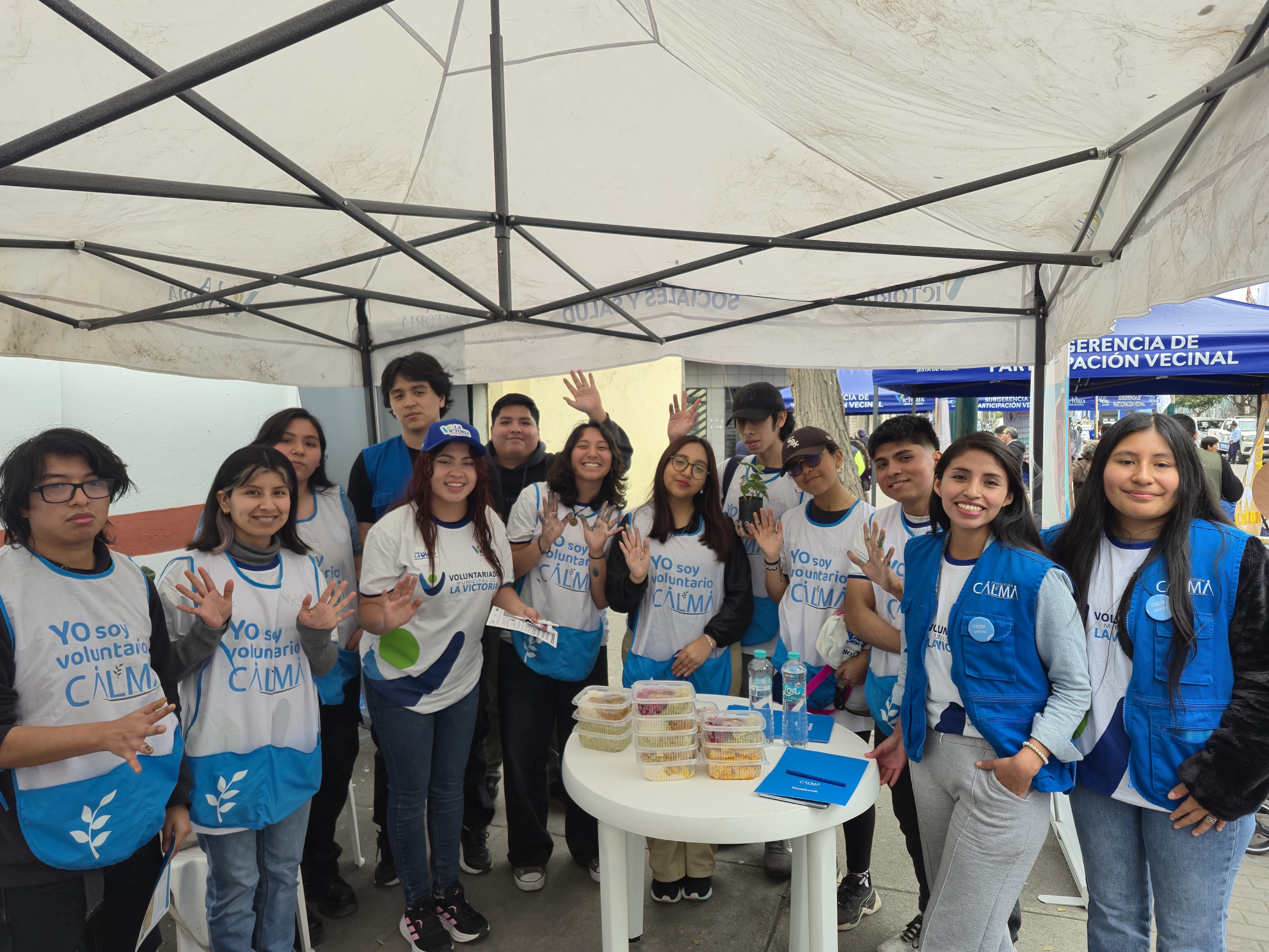 voluntariado 19