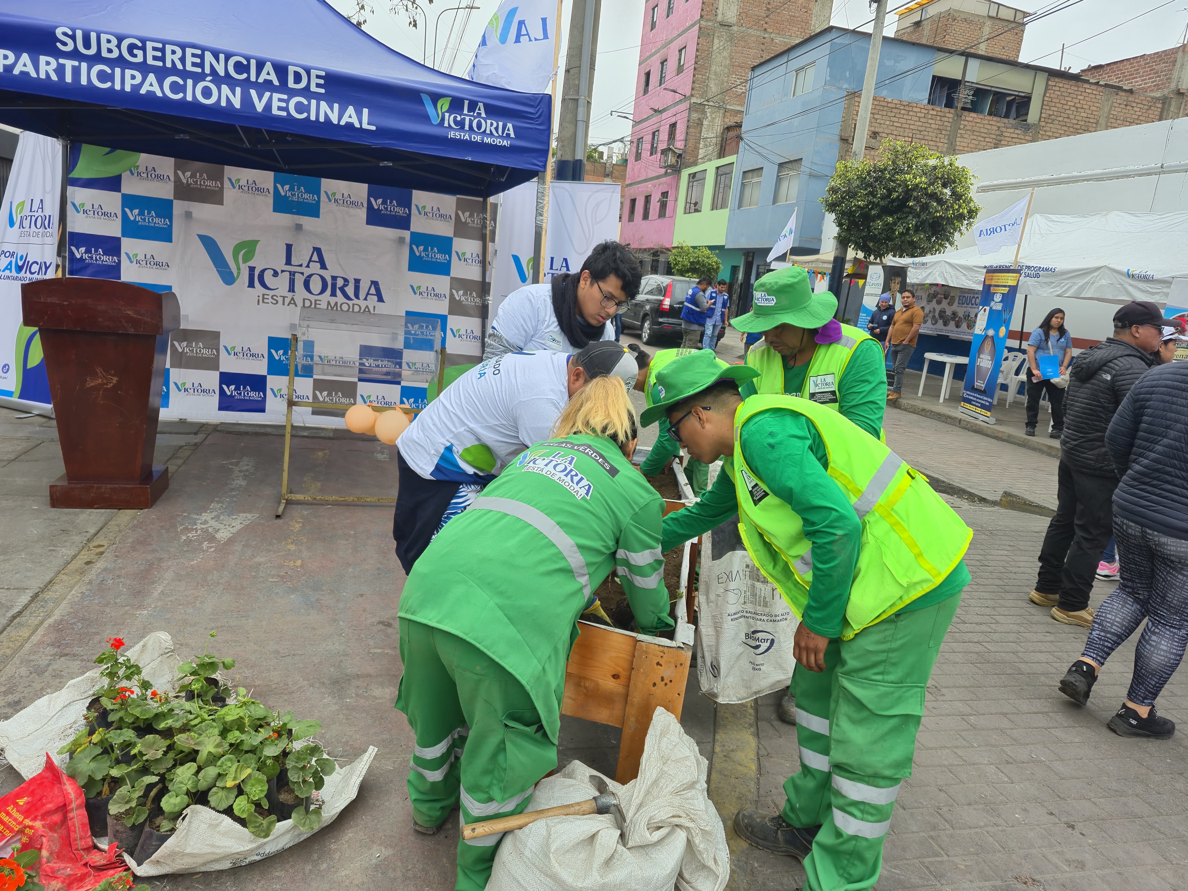 voluntariado 24