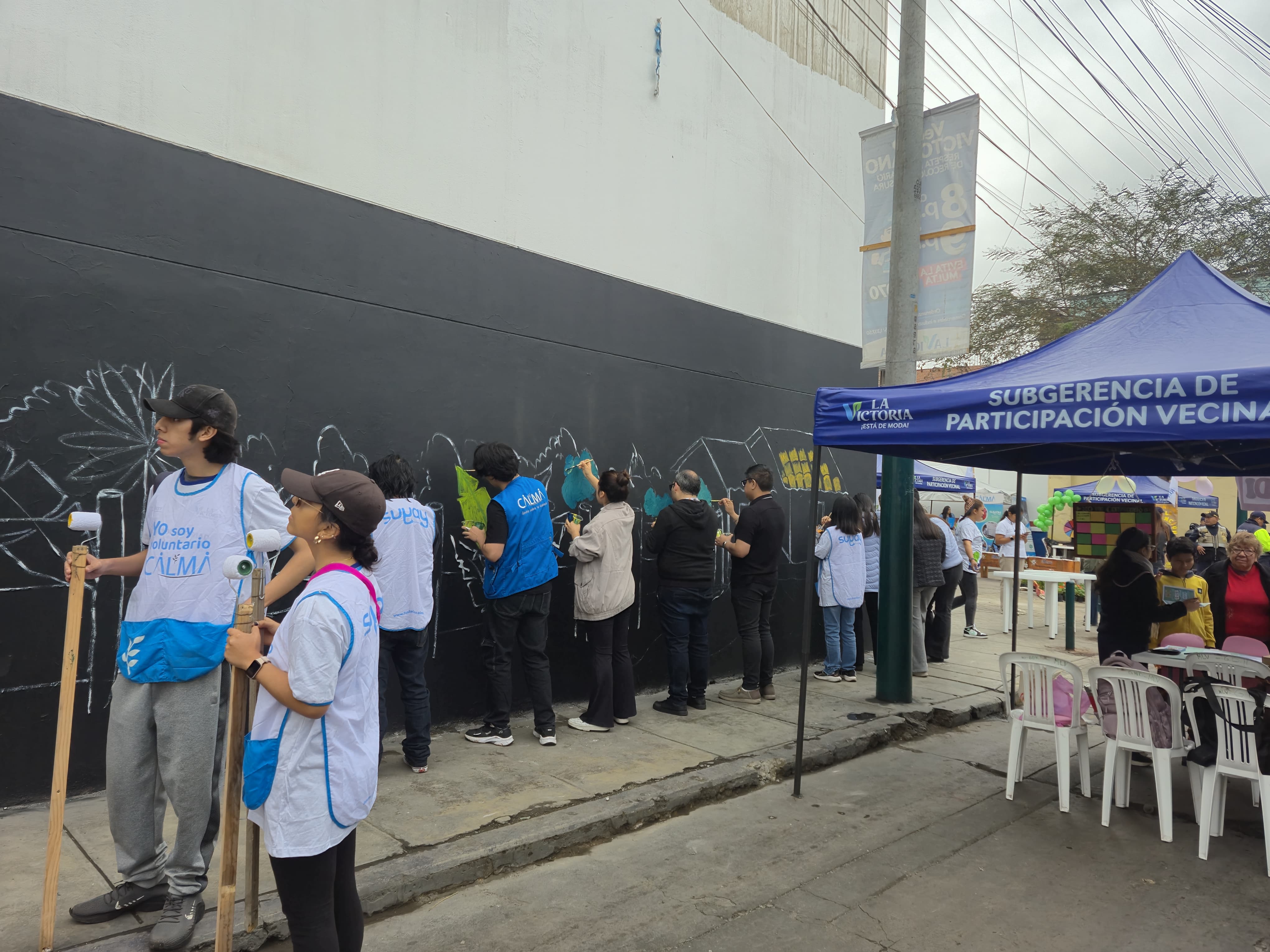 voluntariado 27