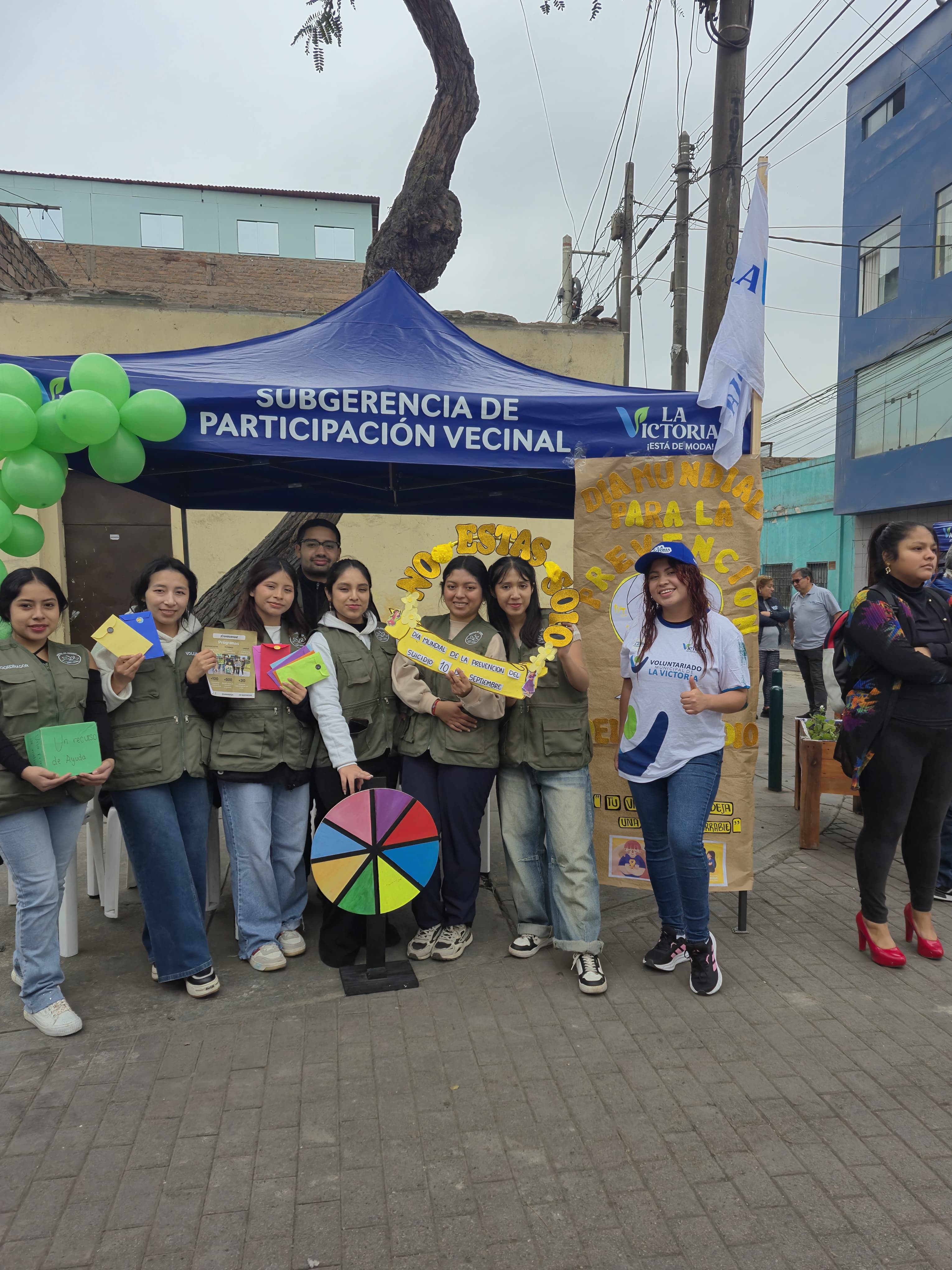 voluntariado 29