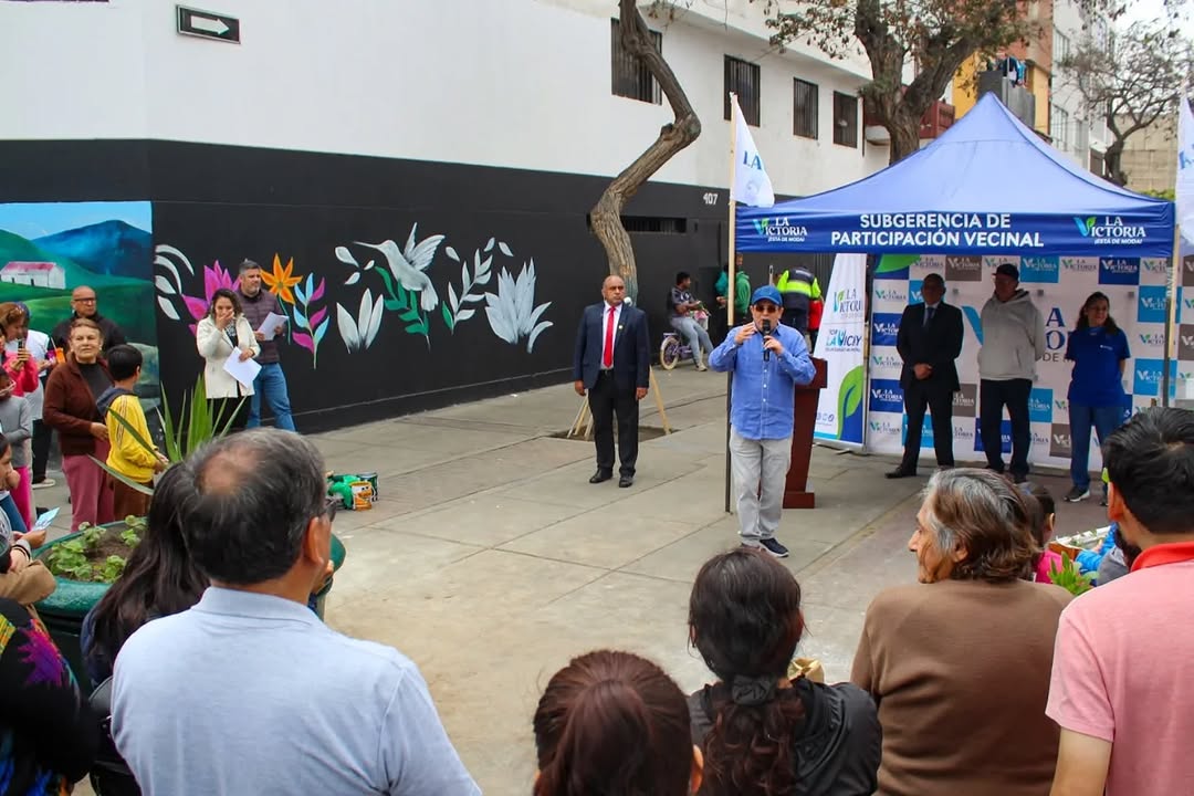 voluntariado 4