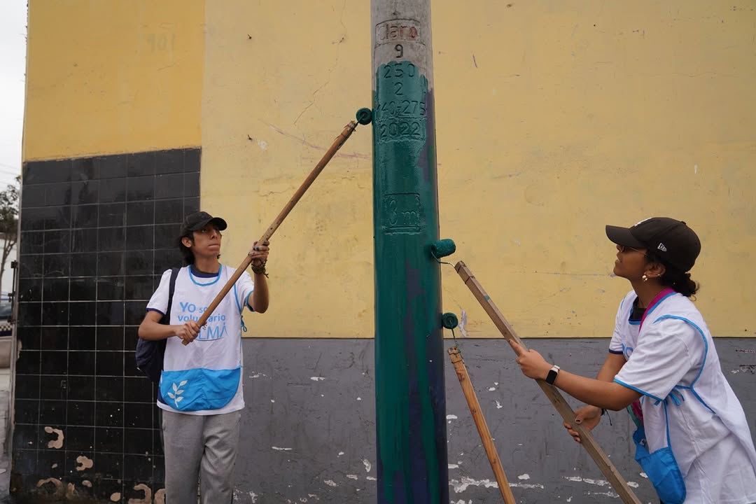 voluntariado 7