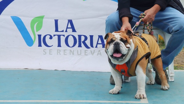 Distrito realiza visita a perros de seguridad en centro comercial